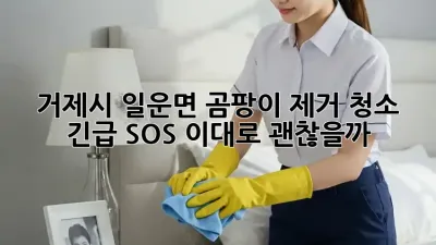거제시 일운면 곰팡이 제거 청소🚨 긴급 SOS! 이대로 괜찮을까?